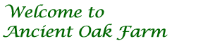 Welcome to Ancient Oak Farm