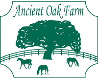 boarding at Ancient Oak Farm