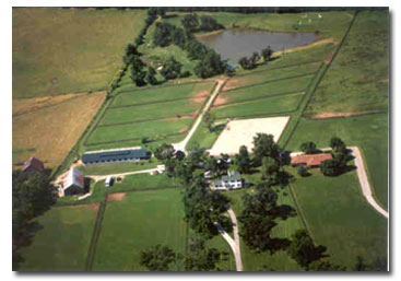 Ancient Oak Farm Boarding View