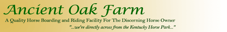 A Quality Horse Boarding and Riding Facility